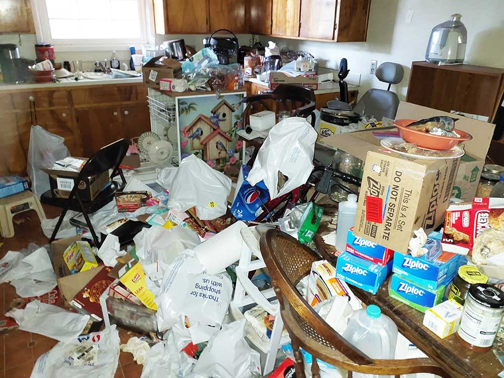 Hoarding Cleanup