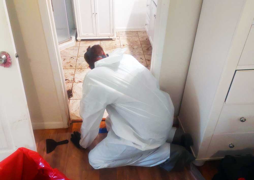 Unattended Death Cleanup