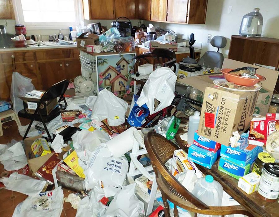 Hoarding Cleanup